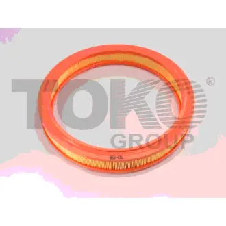 Фильтр воздуха Европа TOKO T1235031