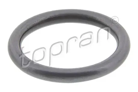 Деталь інжекторного насоса TOPRAN 100678