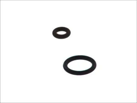 Елементи багатоточкового вприскування TOPRAN 101562