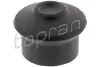 Подушка двигуна TOPRAN 107973 (фото 1)