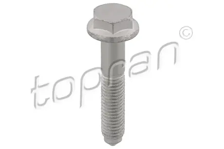 Болт М10x55x32 TOPRAN 117613