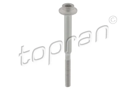 Гвинт кріплення форсунок VAG 2.0TDI 10- TOPRAN 120666