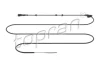 Джгут дротів (2500мм, кількість контактів: 2, із штекером) AUDI A3 SEAT LEON, TOLEDO II SKODA OCTAVIA I, OCTAVIA I/KOMBI, OCTAVIA II VW BORA, BORA I, GOLF IV, NEW BEETLE 1.2-3.2 09.96-12.13 TOPRAN 120862 (фото 1)