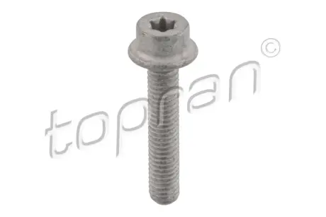 Болт металевий TOPRAN 411097