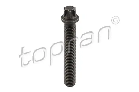 Гвинт шкива коленвала BMW TOPRAN 503 682