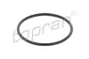 Прокладка фільтра АКПП DSG VW Golf/Jetta/Audi A3 1,8TFSI/1,9TDI/2,0TDI/2,0TFSI/3,2 V6 03- TOPRAN 628 111 (фото 1)