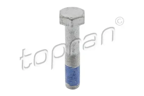 Болт к/вала TOPRAN 723934