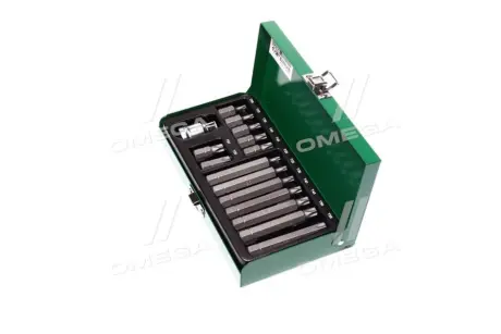 Набір біт 10мм TORX 15од. TOPTUL GAAD1506
