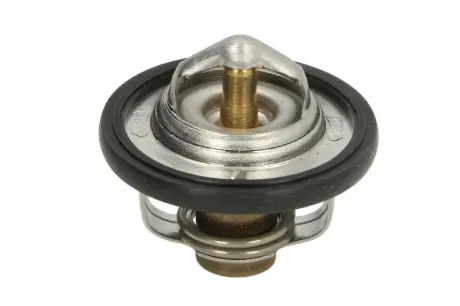 Термостат TOURMAX TMT301
