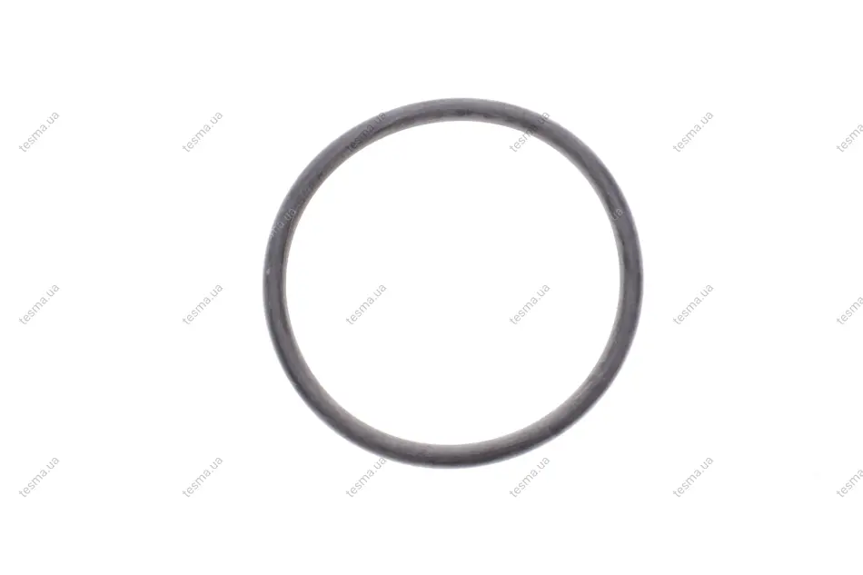 Кільце гумове TOYOTA/LEXUS/DAIHATSU 221930R020 (фото 1)
