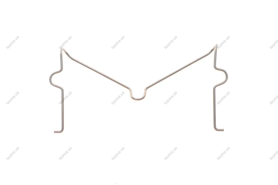 Пружина гальмівного супорта TOYOTA/LEXUS/DAIHATSU 4774835010 (фото 1)