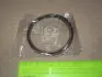 Кольца поршневые +0.50mm (1 цил.)(1.2*1.2*2.5) Matiz 4EA, F8CV TPR 41008050 (фото 1)