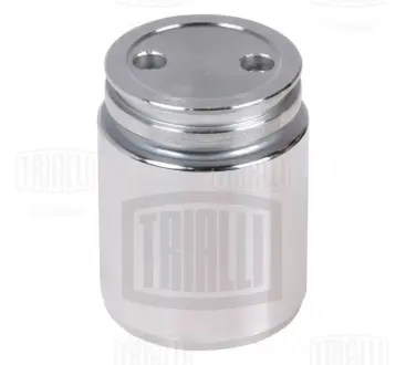 Поршень зад. суппорту для а/м Ford/Mazda/Opel/Renault/SAAB/VOLVO d=38mm (RCF 102064) TRIALLI RCF102064