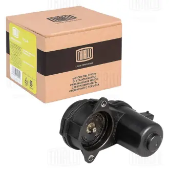 Электродвигатели суппорта TRIALLI RCF182653