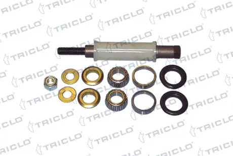 Рычаг независимой подвески колеса, подвеска колеса TRICLO 784179