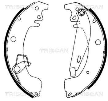 Комплект тормозных колодок TRISCAN 810010031