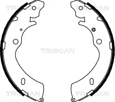 Комплект тормозных колодок TRISCAN 810010033