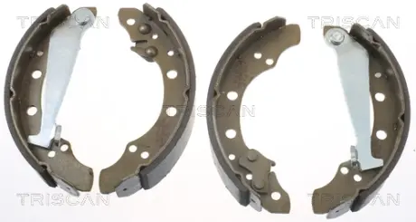Комплект тормозных колодок TRISCAN 810010520