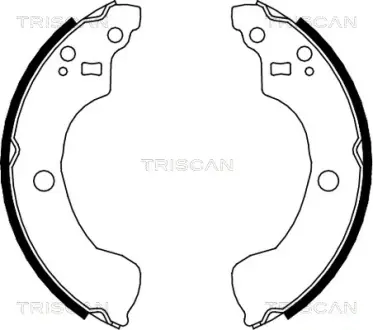 Комплект тормозных колодок TRISCAN 810014004