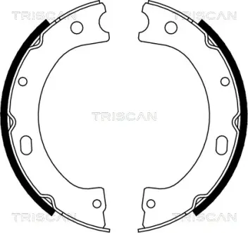 Комплект гальмівних колодок. Стоянкове гальмо TRISCAN 810014011