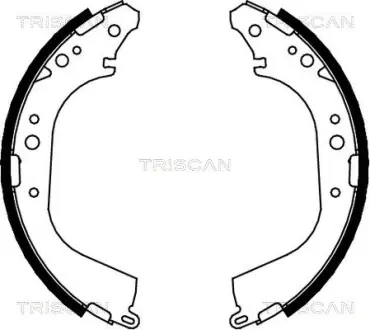 Комплект тормозных колодок TRISCAN 810014565