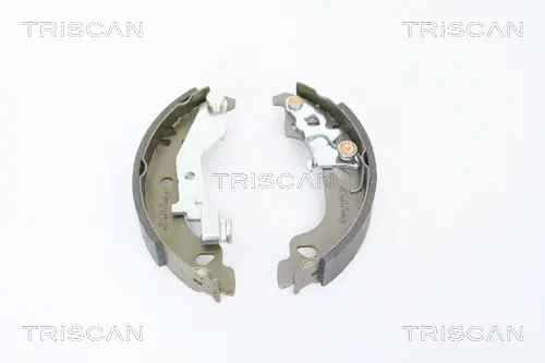 Комплект тормозных колодок TRISCAN 810015018 (фото 1)