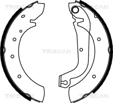 Комплект тормозных колодок TRISCAN 810015480