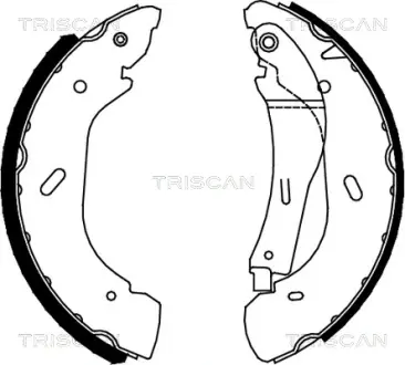 Комплект тормозных колодок TRISCAN 810016005