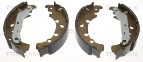 Комплект тормозных колодок TRISCAN 810016006