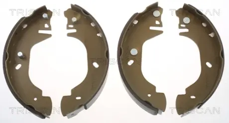 Комплект тормозных колодок TRISCAN 810016570