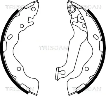 Комплект тормозных колодок TRISCAN 810018009