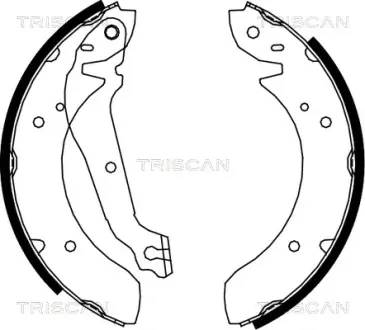 Комплект тормозных колодок TRISCAN 810018013