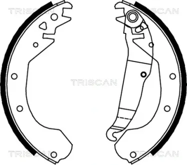 Комплект тормозных колодок TRISCAN 810024410
