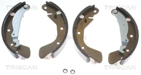 Комплект тормозных колодок TRISCAN 810024539
