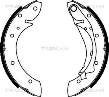 Комплект тормозных колодок TRISCAN 810028598