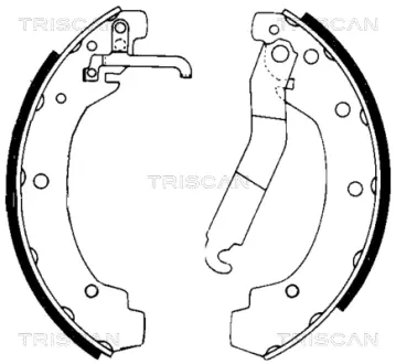 Комплект тормозных колодок TRISCAN 810029004