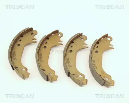 Комплект тормозных колодок TRISCAN 810038491
