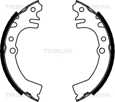 Комплект тормозных колодок TRISCAN 810041613