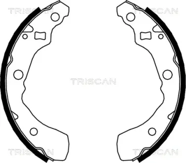 Комплект тормозных колодок TRISCAN 810041618