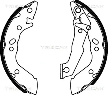Комплект тормозных колодок TRISCAN 810043560