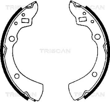 Комплект тормозных колодок TRISCAN 810050359