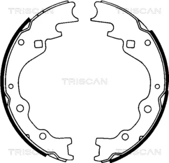Комплект тормозных колодок TRISCAN 810050461