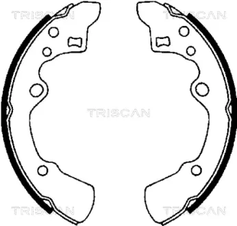 Комплект тормозных колодок TRISCAN 810050496