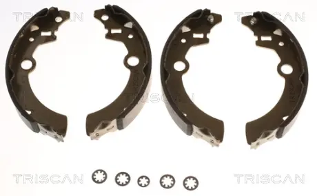 Комплект тормозных колодок TRISCAN 810069001