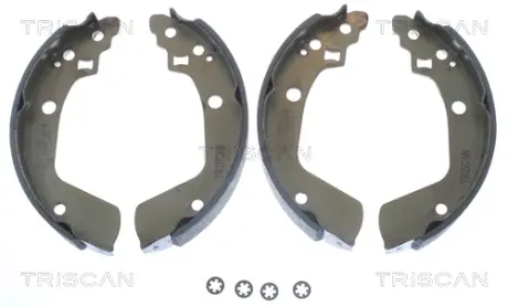 Комплект тормозных колодок TRISCAN 810069008