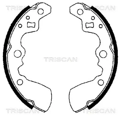 Комплект тормозных колодок TRISCAN 810069550 (фото 1)