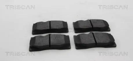 Комплект тормозных колодок, дисковый тормоз TRISCAN 811013103