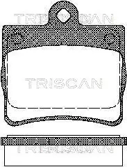 Колодки гальмівні задні TRISCAN 811023016