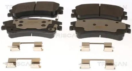 Комплект тормозных колодок, дисковый тормоз TRISCAN 811050013