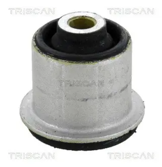 Подвеска, рычаг независимой подвески колеса TRISCAN 850011851